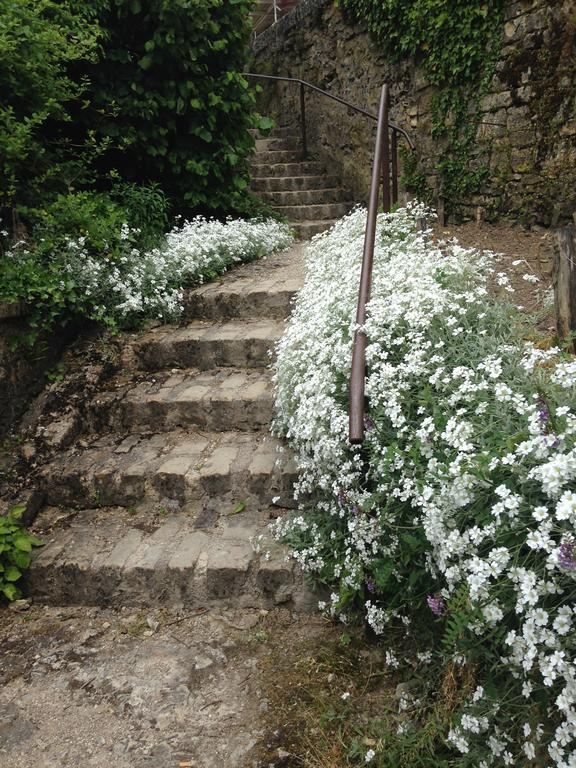 The Good Studio Vezelay Phòng bức ảnh